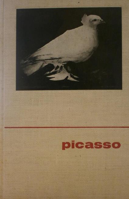 Pablo Picasso - Antonina Vallentin - copertina
