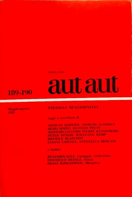 Paesaggi Benjaminiani - copertina