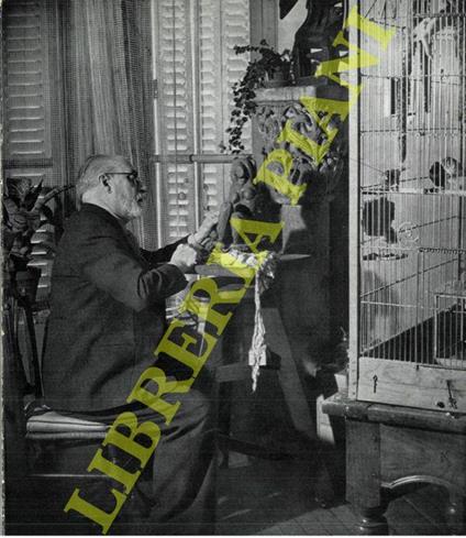 Henri Matisse - copertina