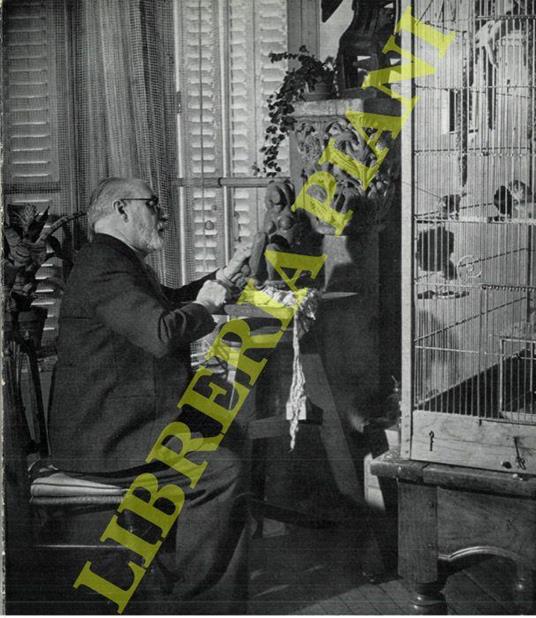 Henri Matisse - copertina