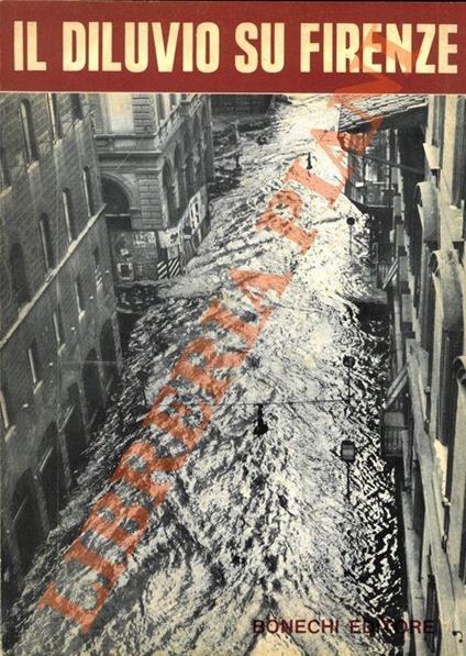 Il diluvio su Firenze - Eugenio Pucci - copertina