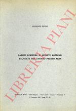Sabbie aurifere (e monete romane) raccolte nel Tanaro presso Alba