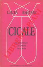 Cicale. Il costume le opere i giorni