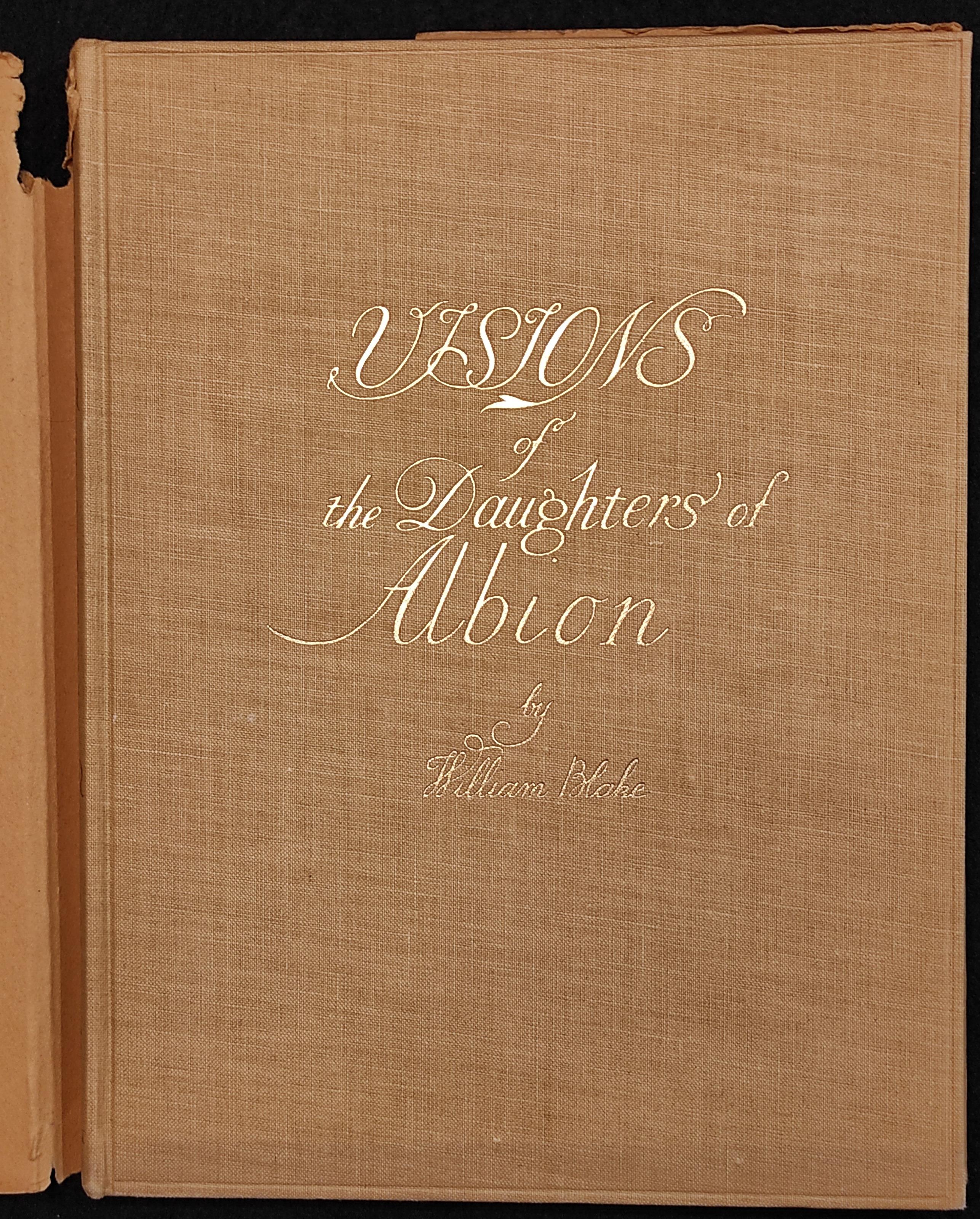 Visions of the Daughters of Albion