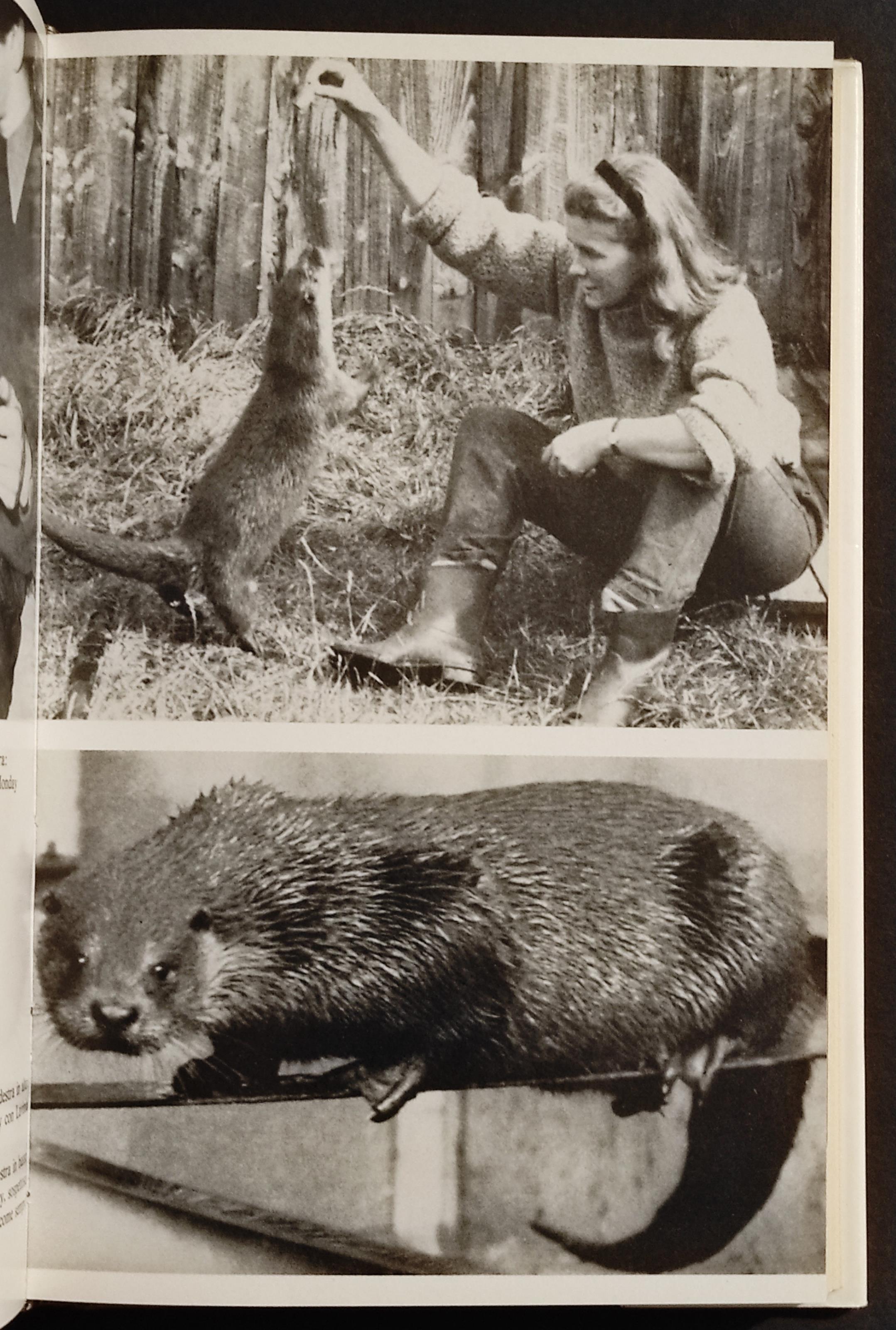 La Baia degli Ontani