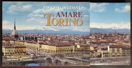 Amare Torino - copertina