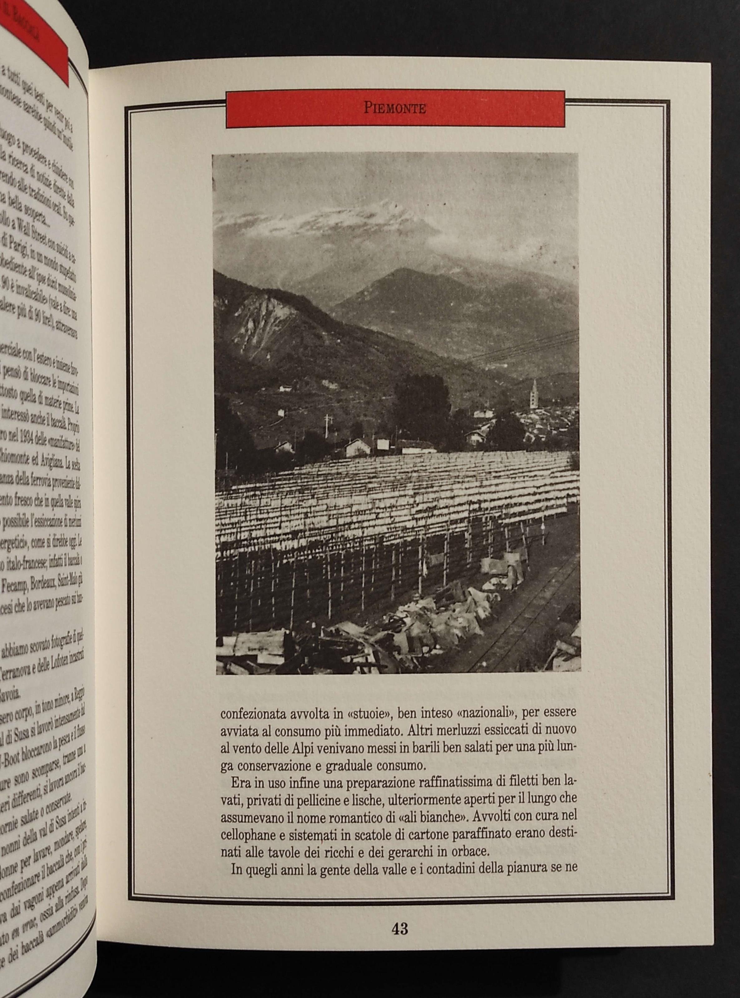 Il Libro del Baccalà