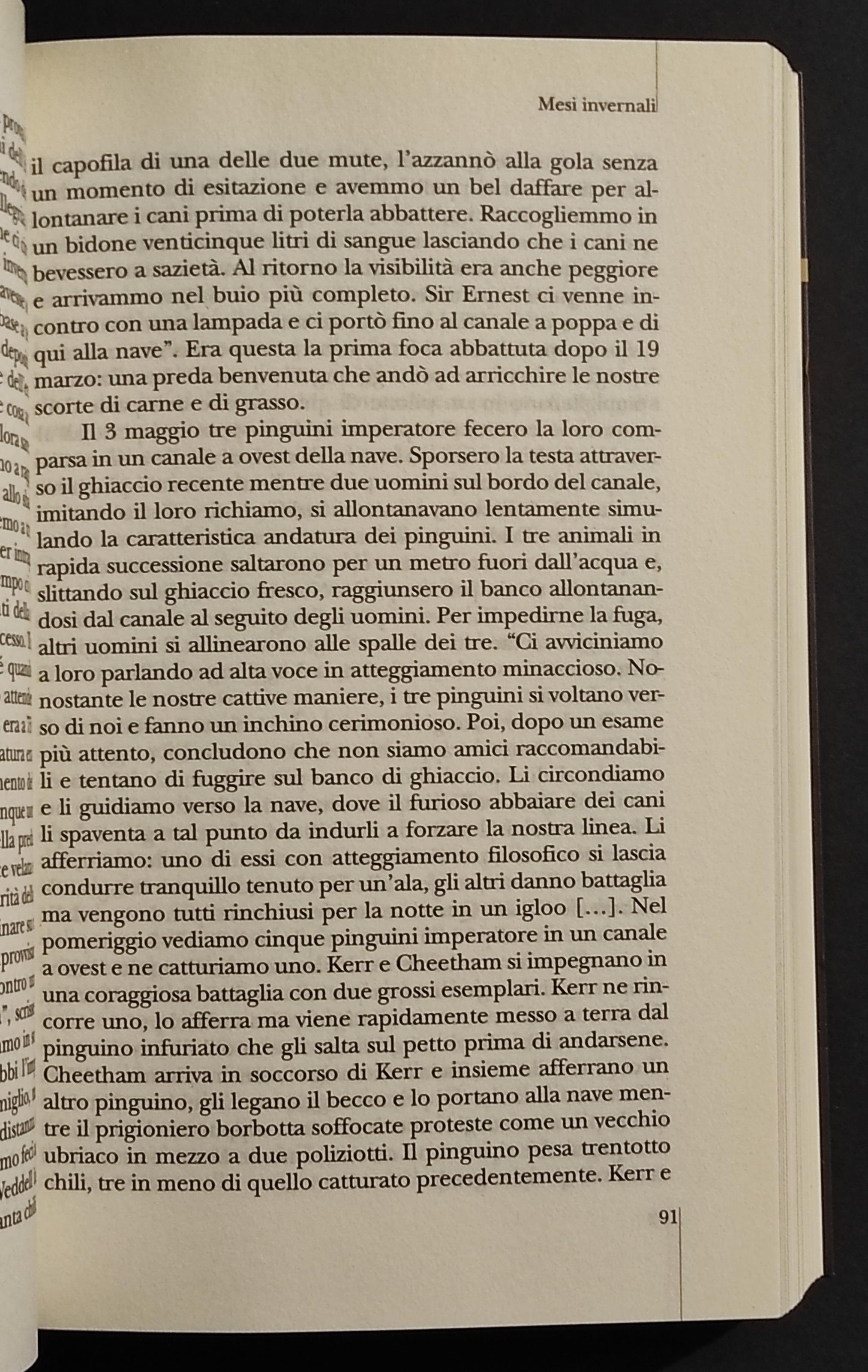 Sud la Spedizione dell'Endurance