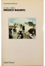 Messico insorto