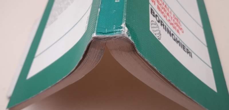 Fondamenti di Elettricità Animale 