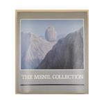 The Menil Collection