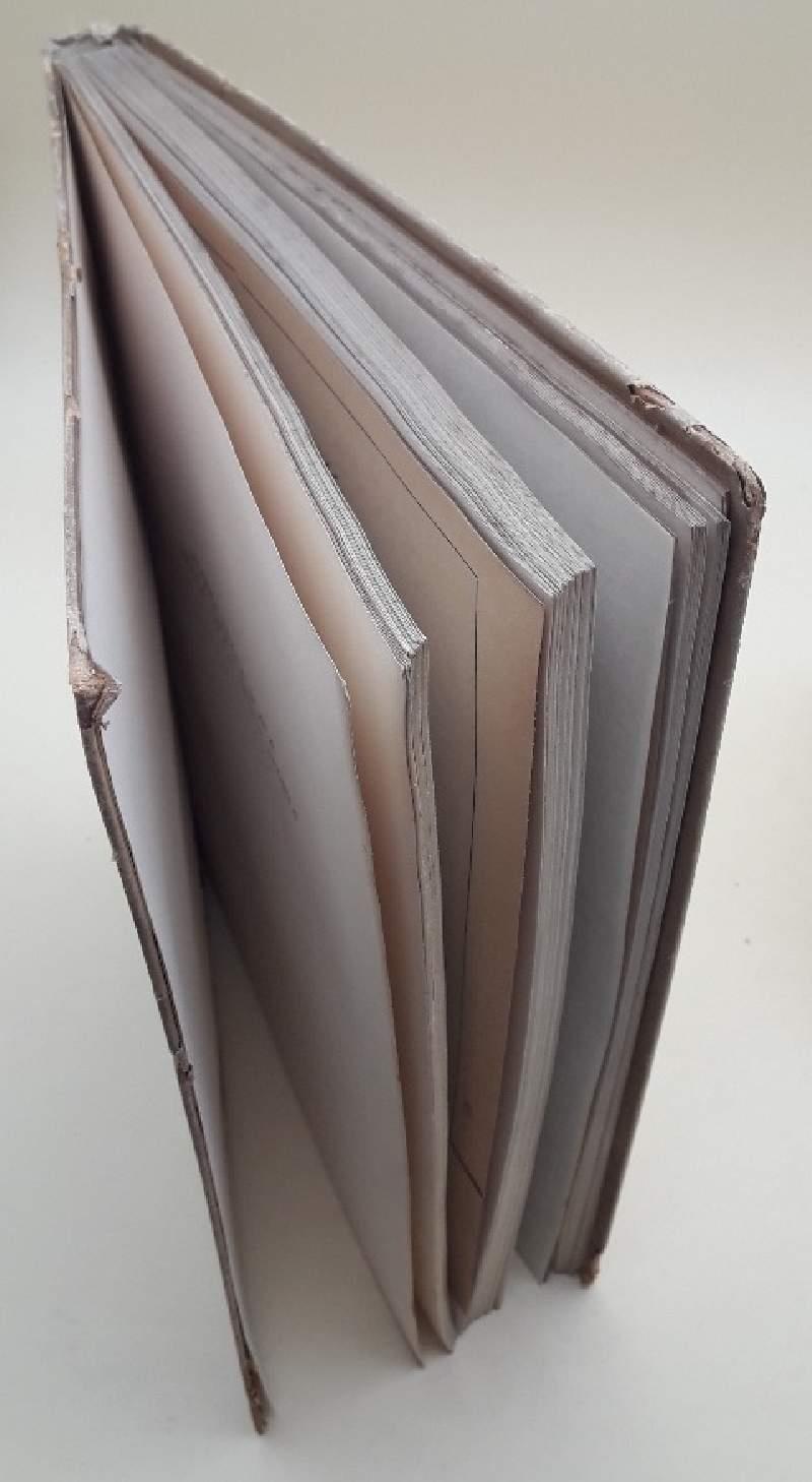 Piazza Della Scala Nella Vita e Nella Storia