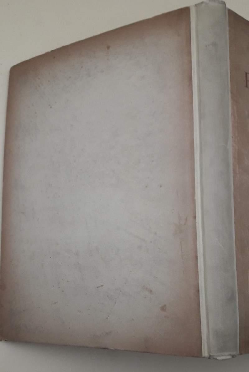 Piazza Della Scala Nella Vita e Nella Storia