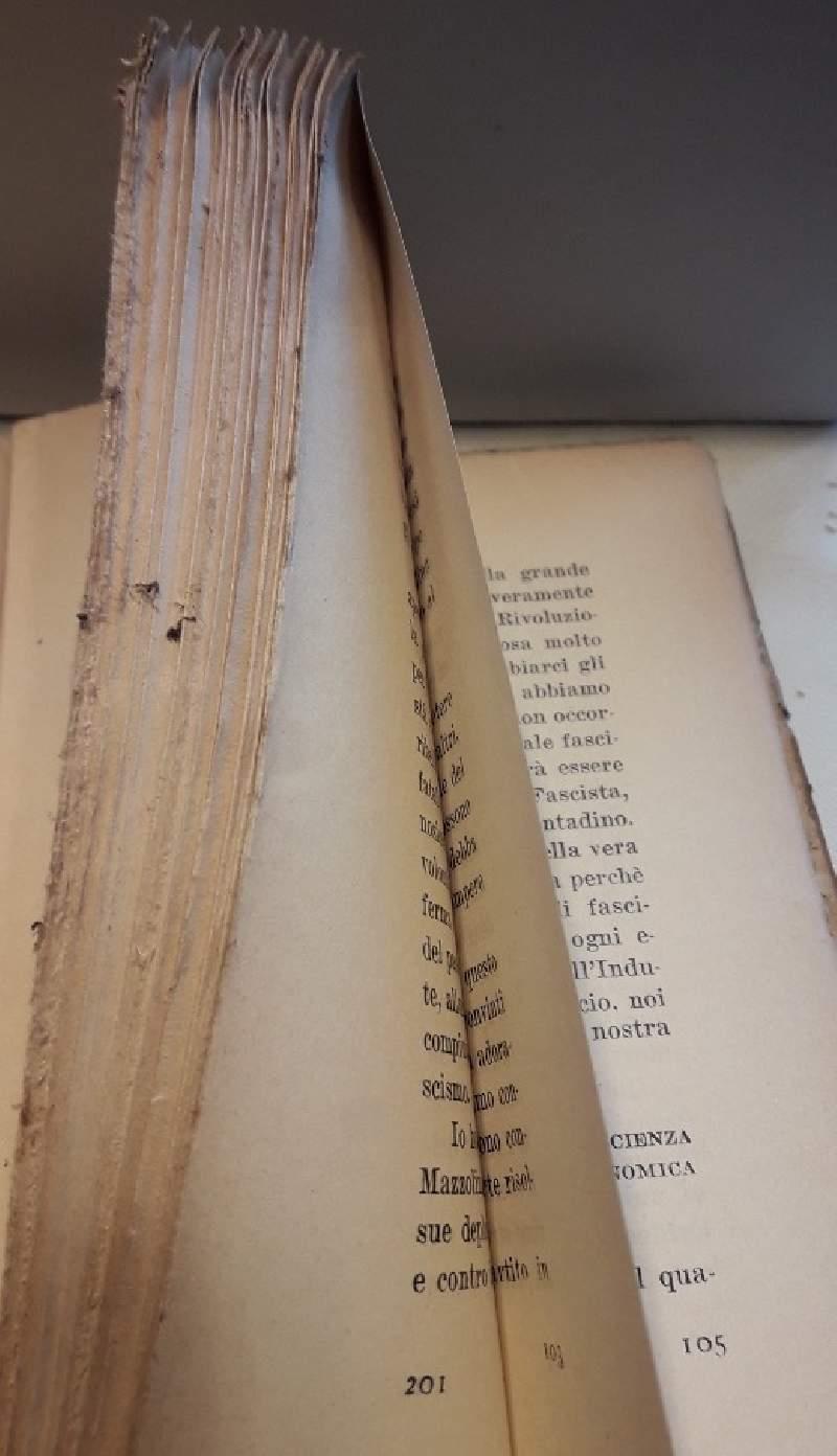 Ragioni Ideali di Vita Fascista