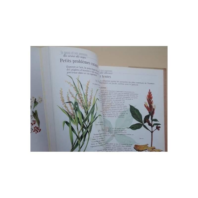 Les Plantes Medicinales- La Nature Est Un Bon Medecin