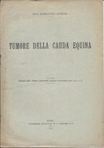 Tumore Della Cauda Equina 