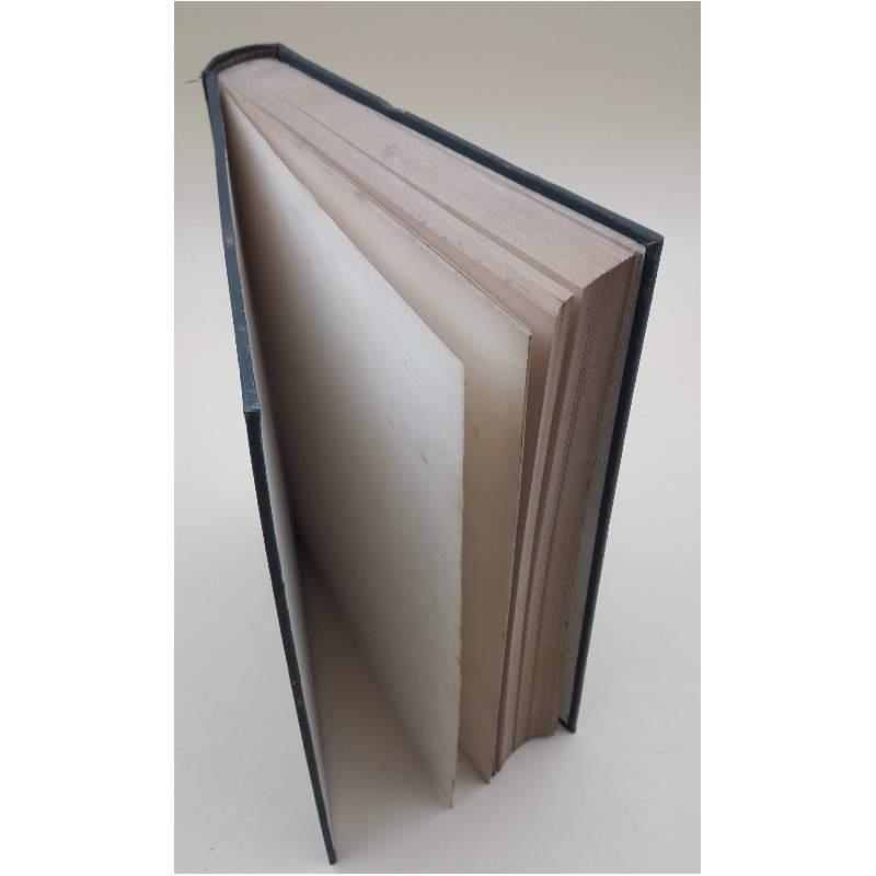 Il Biennio Rosso 1919-1921