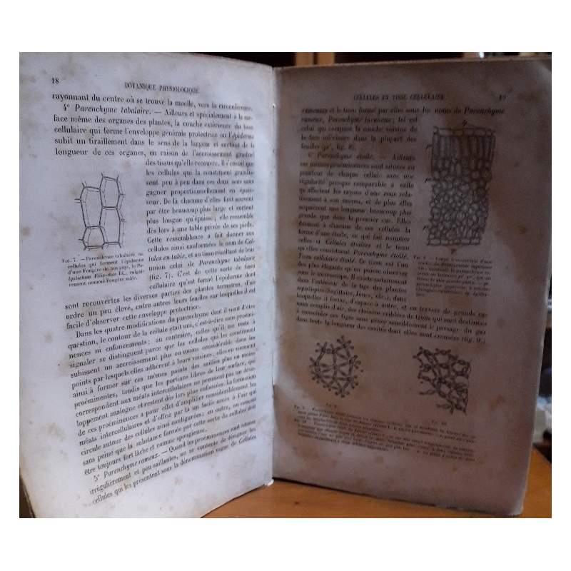Elements De Botanique Comprenant L'anatomie, L'organographie, La Physiologie Des Plantes, Les Familles Naturelles Et La