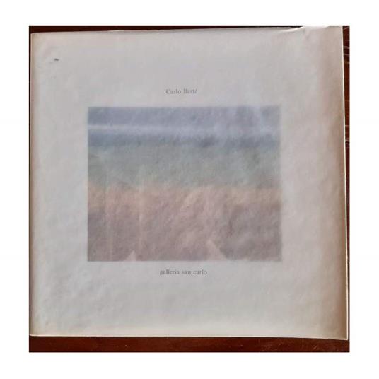 Carlo Bertè: La Sensibilità Del Visibile - copertina