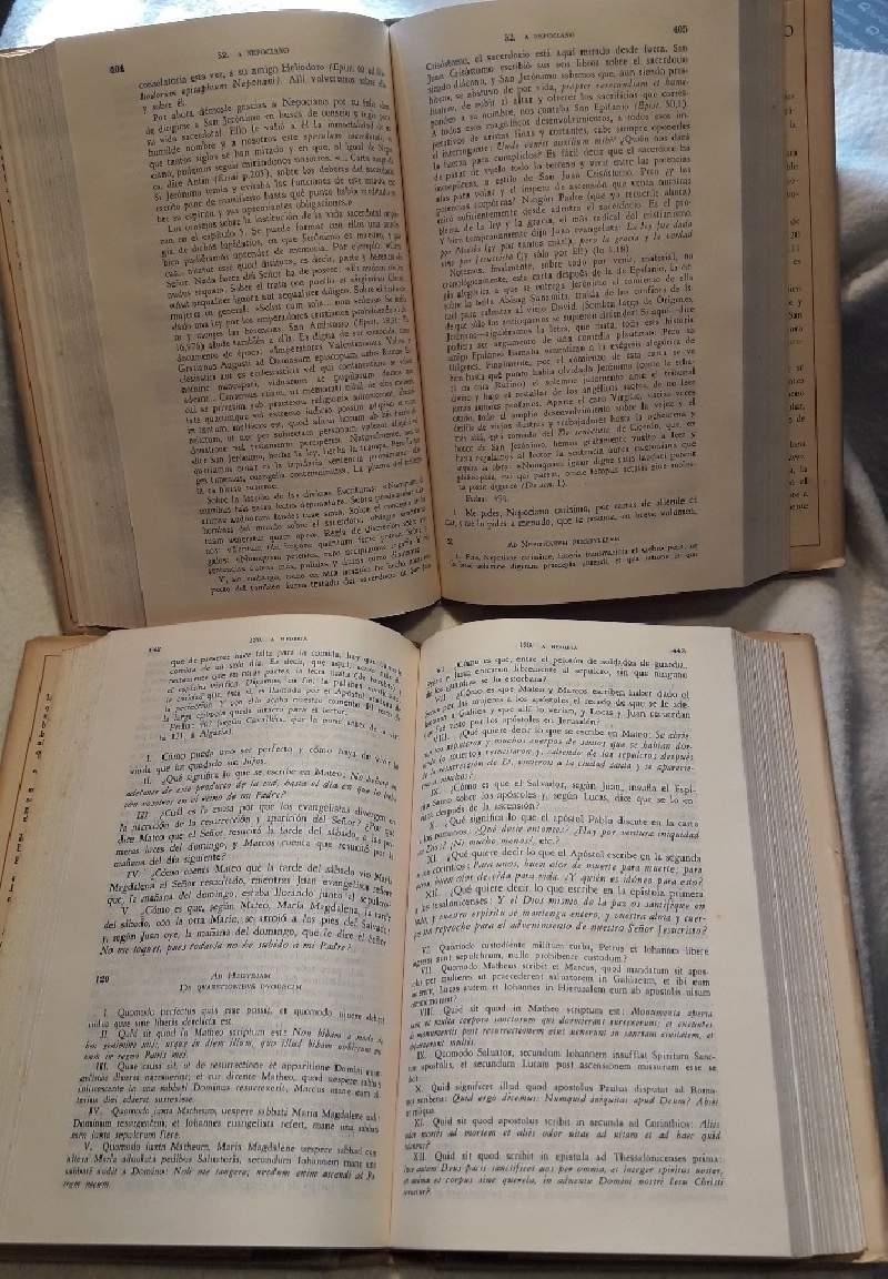 Cartas De San Jeronimo - Edicion Bilingue 2 Voll.