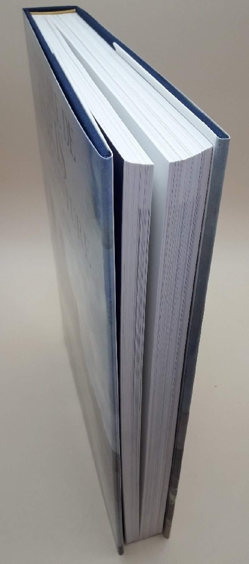 L' histoire De Paris Par La Peinture