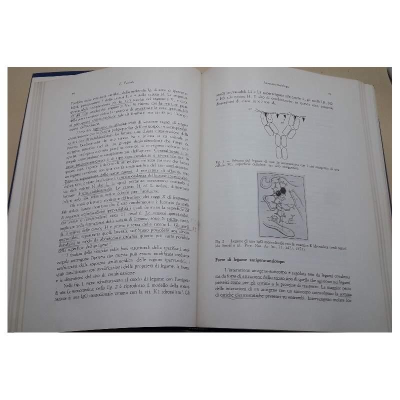 Immunoematologia- Teoria e Tecniche Sierologiche