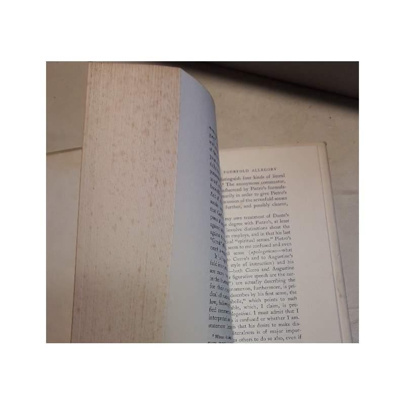 Allegory in Dantès Commedia