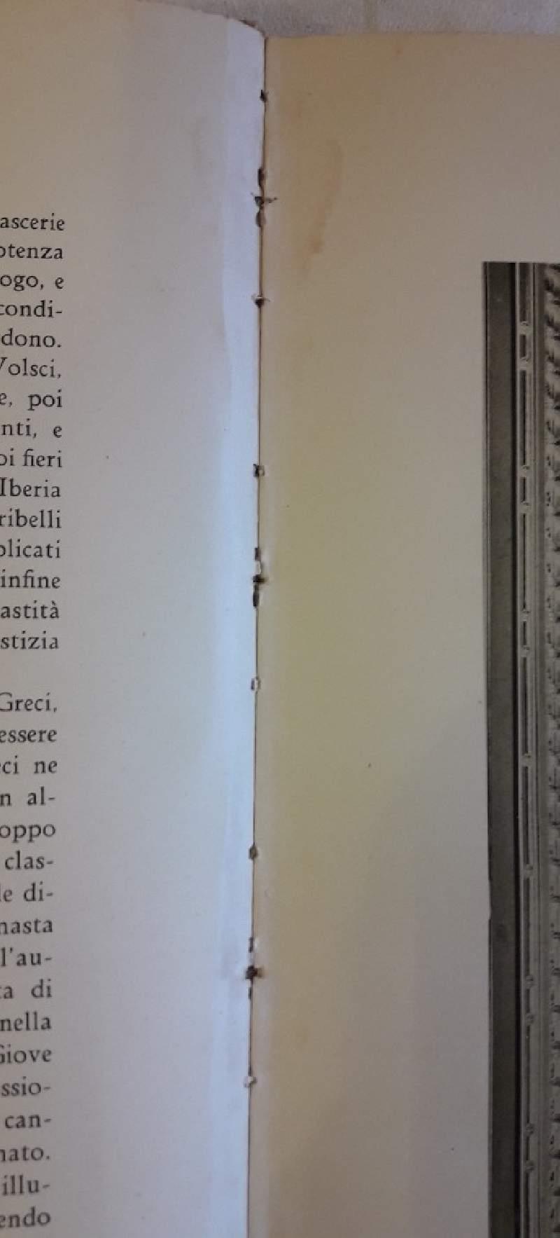 Ambasciate e Ambasciatori a Roma