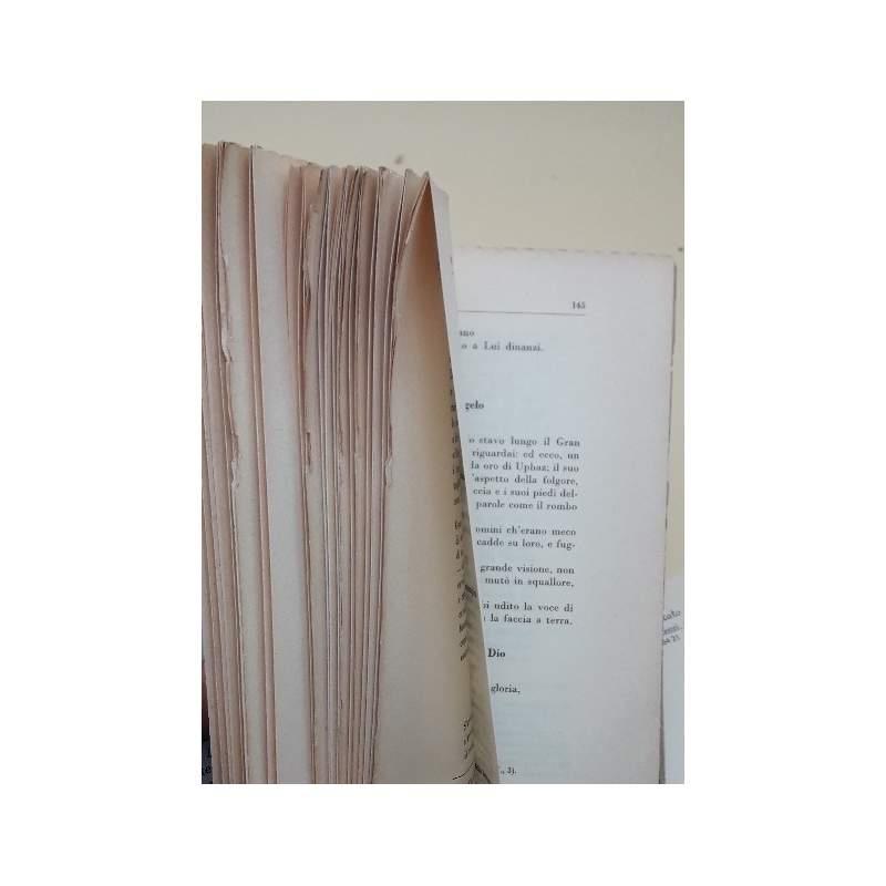 La Bibbia Dei Letterati-versioni Critiche Dai Testi Ebraici Aramaici e Greci con Introduzione e Note