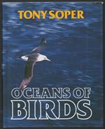 Oceans Of Birds 