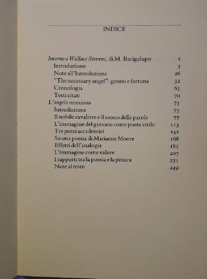 L' angelo Necessario