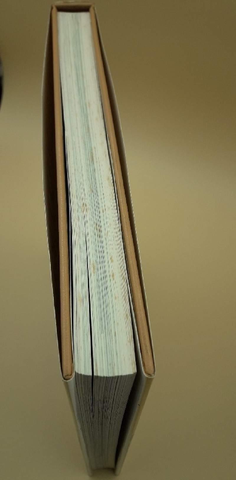 Viterbo Città Pontificia