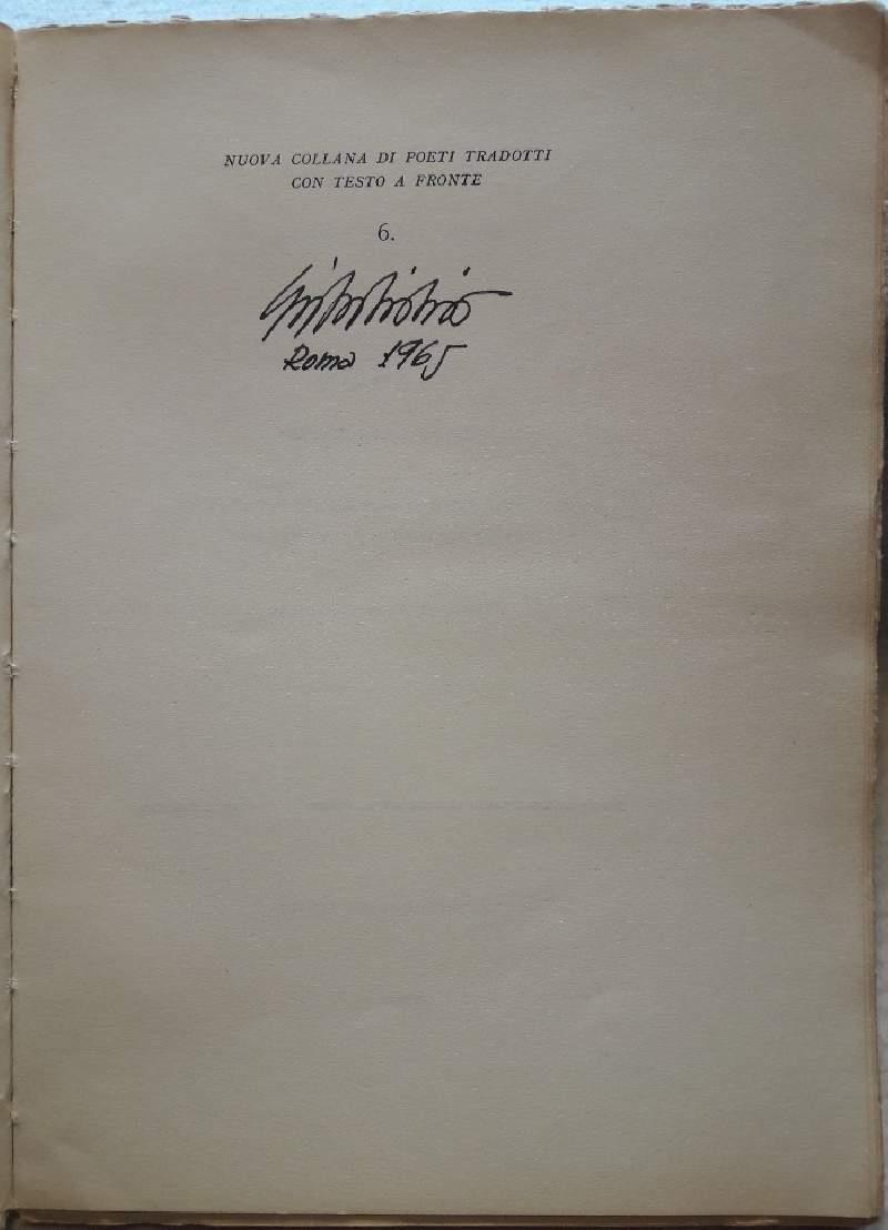 Poesie(rilke)