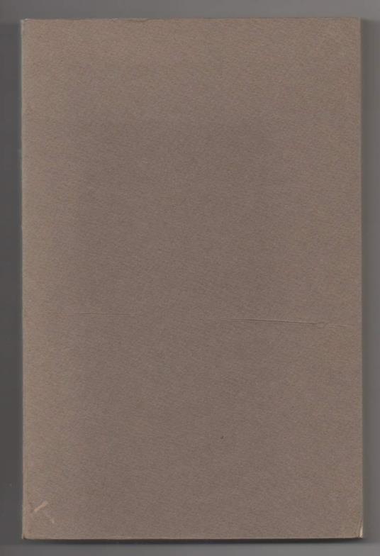 I Tetti Sulla Città 1973 - 1976  - Giuseppe Raimondi - copertina