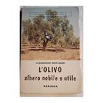 L' olivo Albero Nobile e Utile