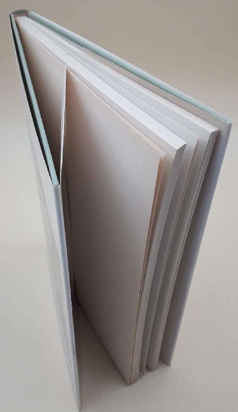 L' italia e Il Mondo Gotico