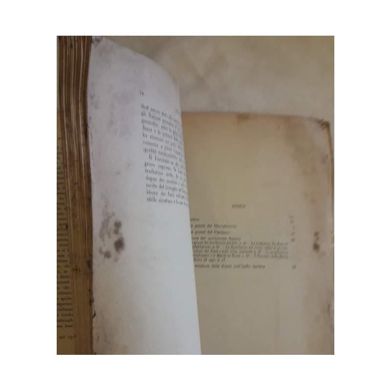 La Genesi Del Fascismo