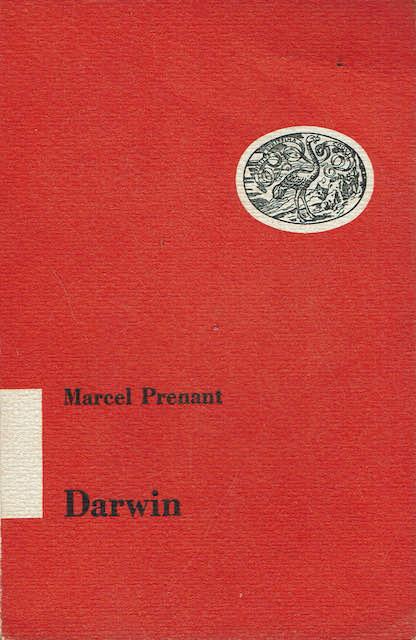 Darwin - copertina