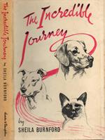 The Incredible Journey