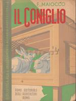 Il coniglio