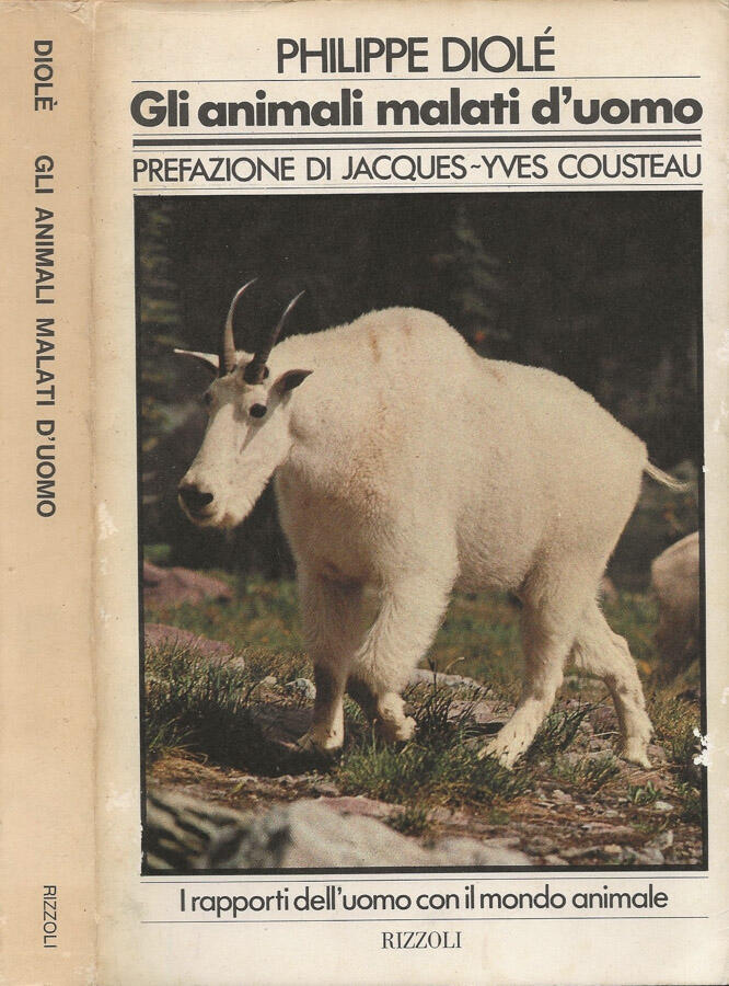 Biblioteca di Babele