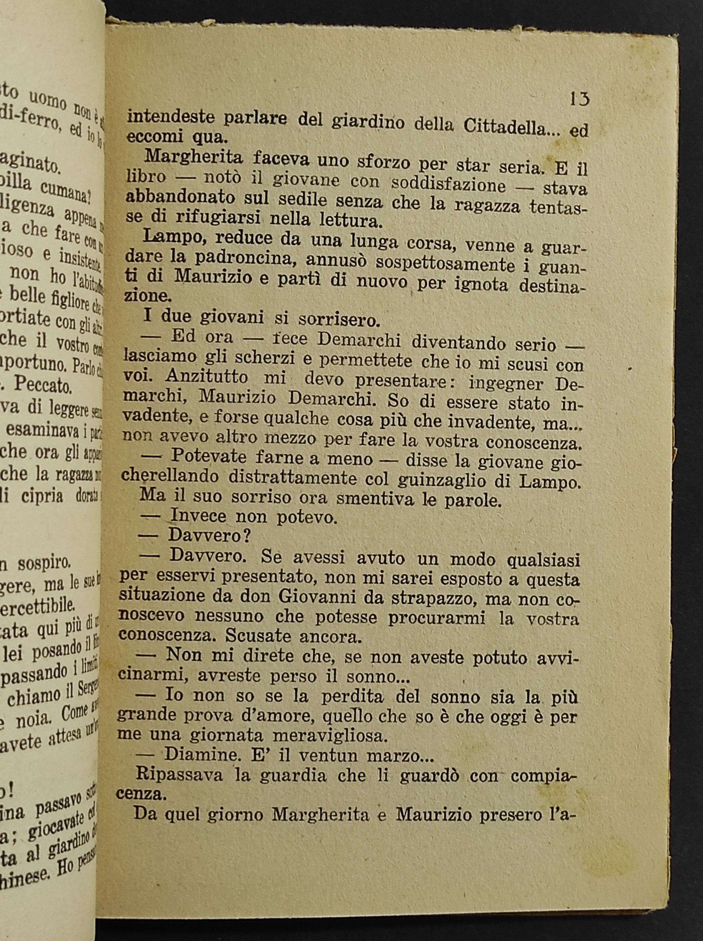 Gerani alla Finestra - Dora - Ed. Taurinia