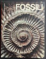 Fossili Invertebrati - Meraviglie della Natura - Ed. De Agostini