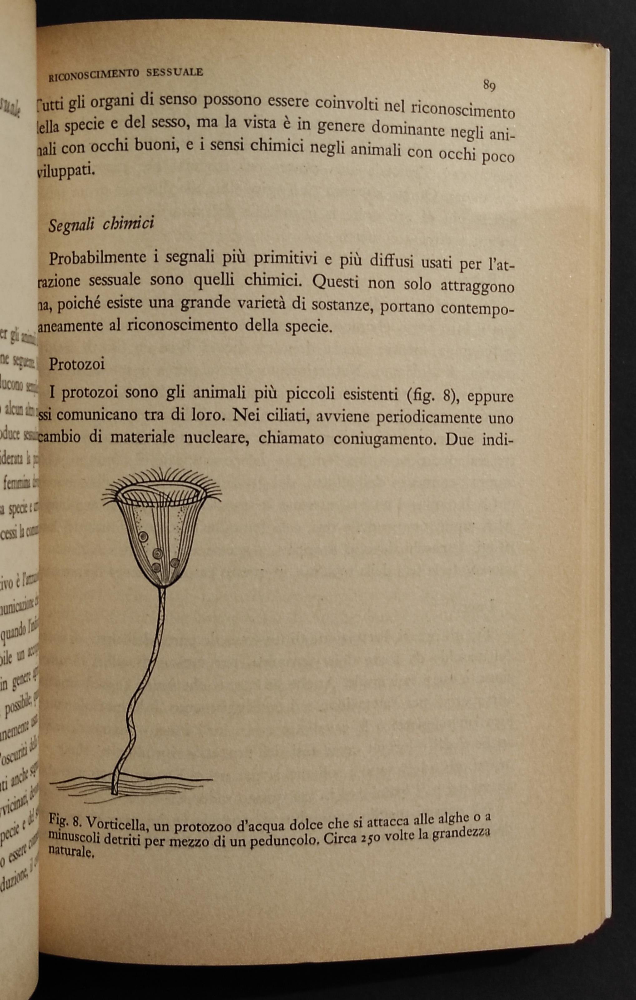 La Comunicazione Animale - H. e M. Frings - Ed. Boringhieri