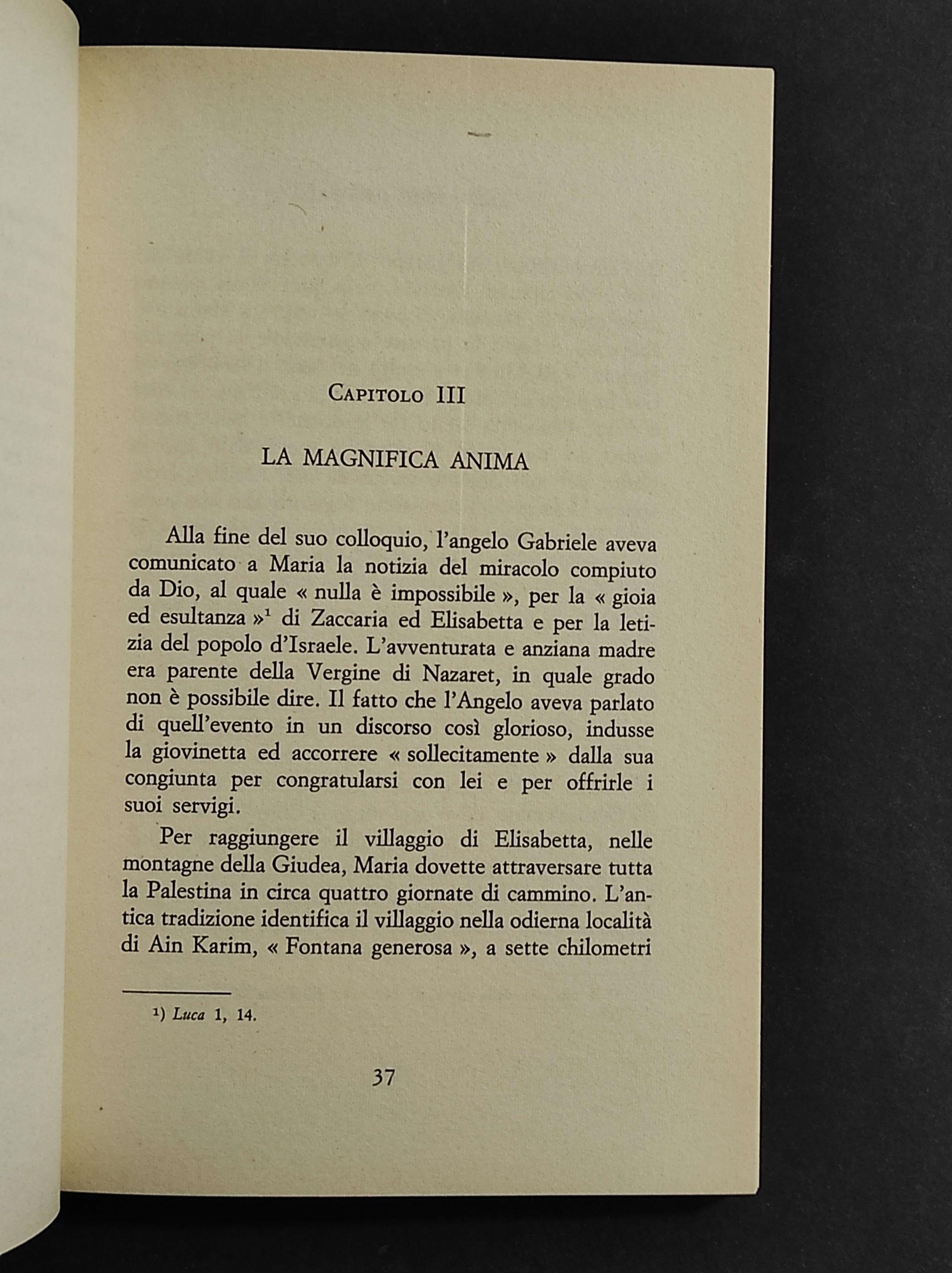 La Madonna della Bibbia - S. Garofalo