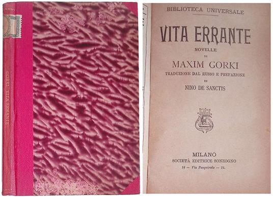 Vita errante - Massimo Gori - copertina