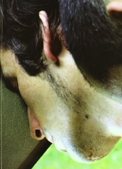 Kill 'em all - copertina