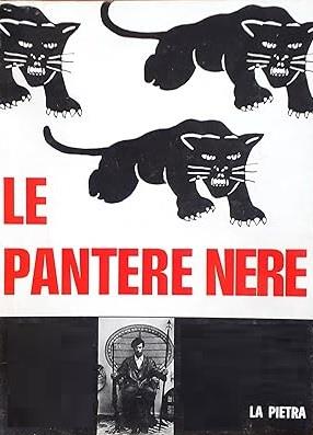 Le Pantere Nere - David Kunzle - copertina