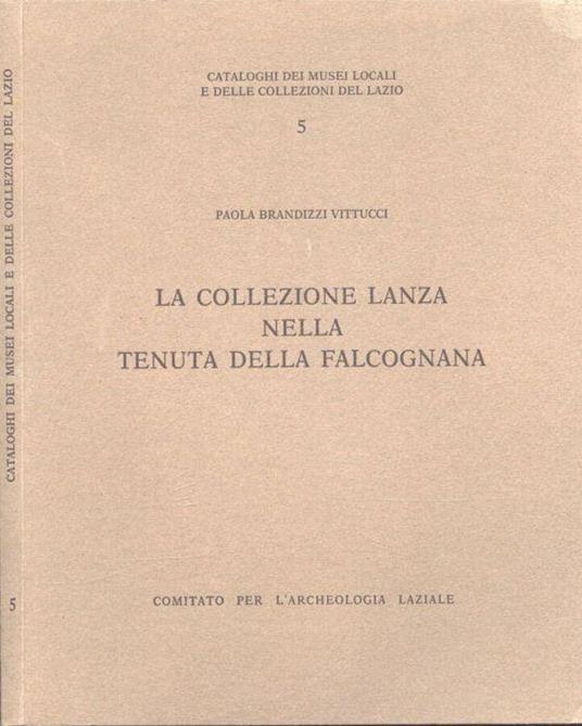 Brandizzi usato best sale