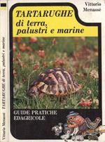 Tartarughe di terra, palustri e marine